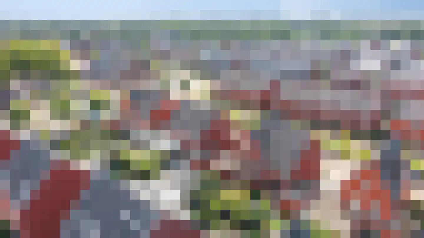 Bemsingel 4 Zevenaar thumbnail 59