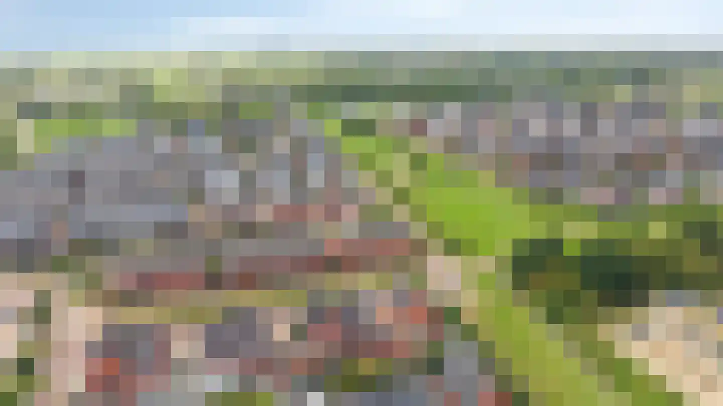 Bemsingel 4 Zevenaar thumbnail 60