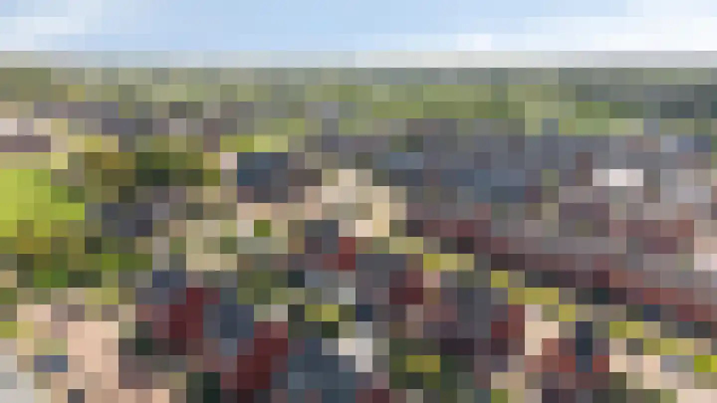 Bemsingel 4 Zevenaar thumbnail 61