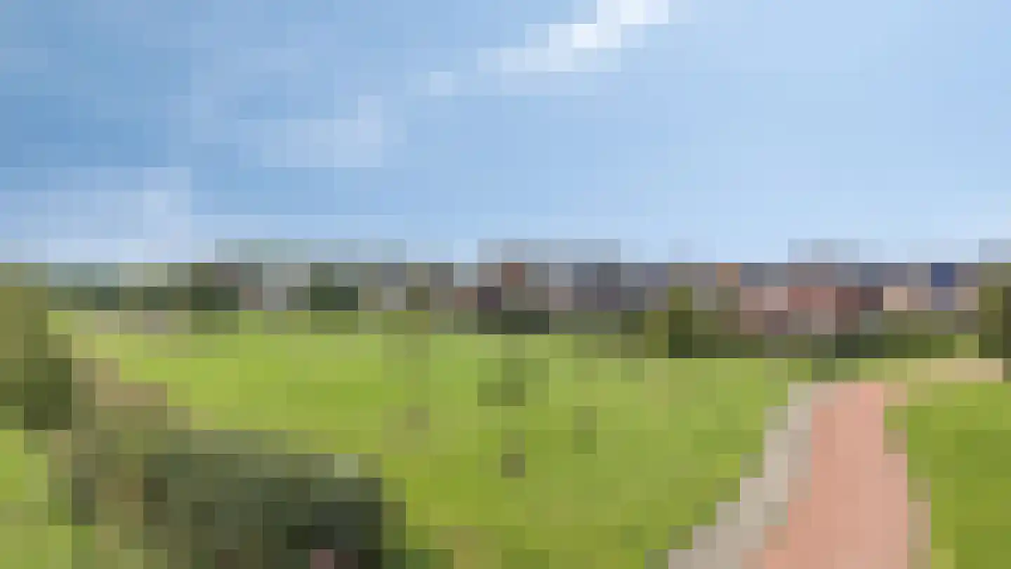 Bemsingel 4 Zevenaar thumbnail 64