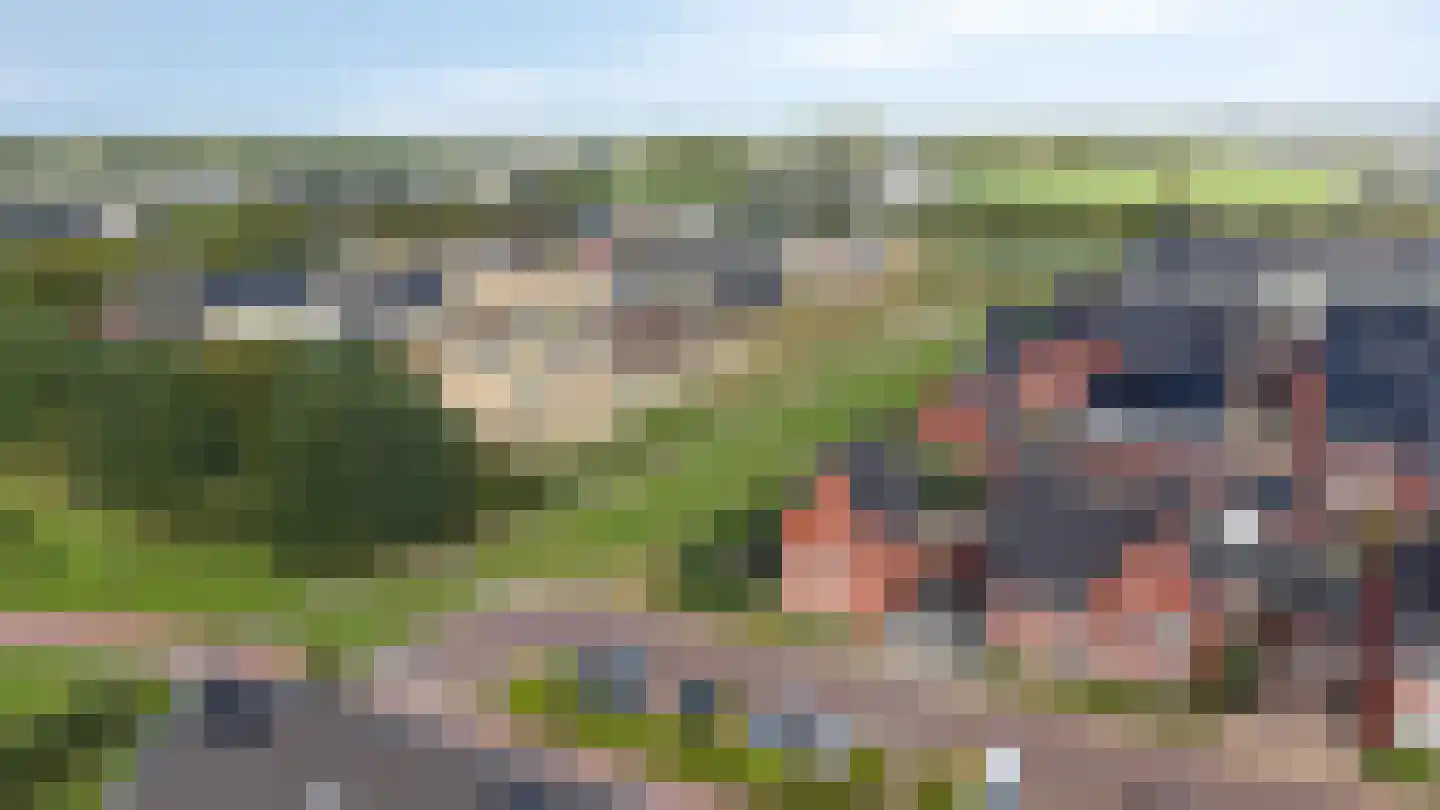 Bemsingel 4 Zevenaar thumbnail 65