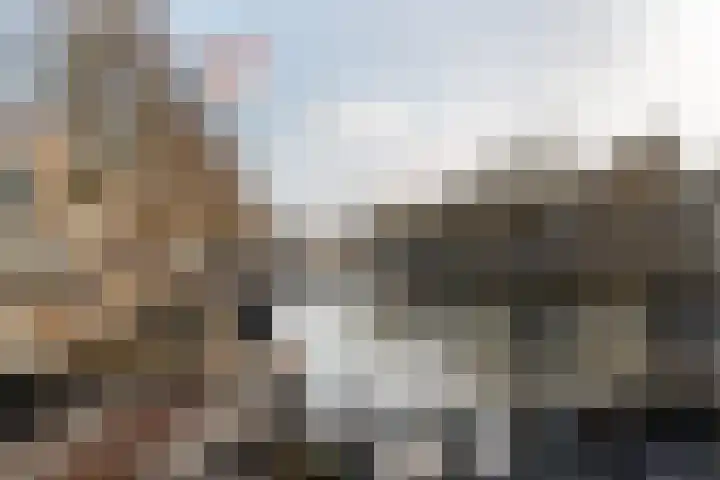Bemuurde Weerd O.Z. 11 C Utrecht thumbnail 14