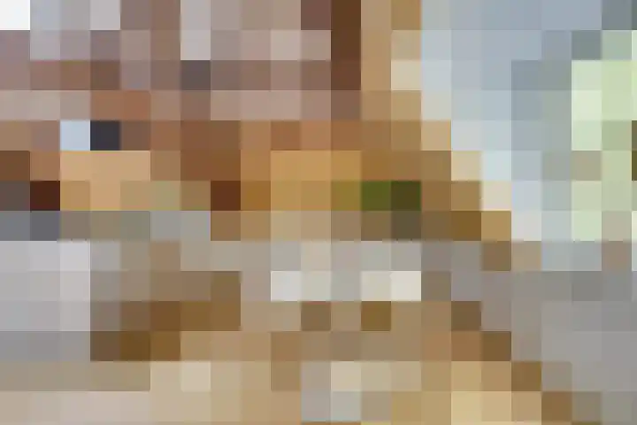 Bemuurde Weerd O.Z. 28 D Utrecht thumbnail 11
