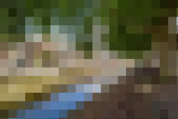 Bemuurde Weerd O.Z. 28 D Utrecht thumbnail 24
