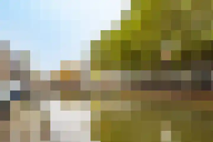 Bemuurde Weerd O.Z. 28 D Utrecht thumbnail 30