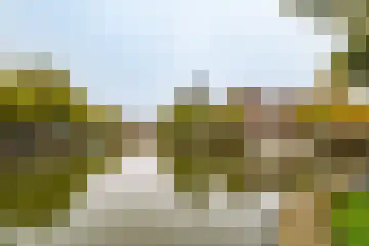 Bemuurde Weerd O.Z. 28 D Utrecht thumbnail 31