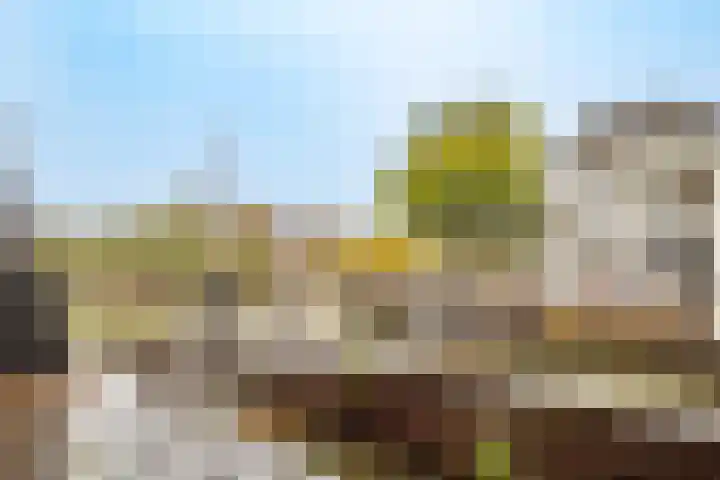 Bemuurde Weerd O.Z. 28 D Utrecht thumbnail 32