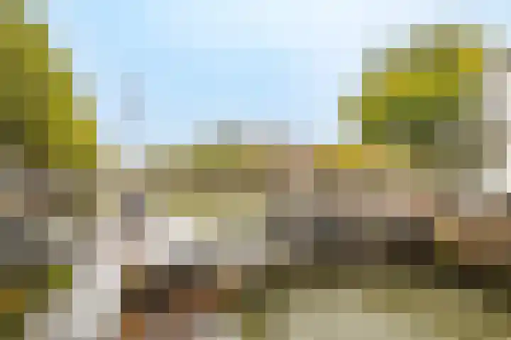 Bemuurde Weerd O.Z. 28 D Utrecht thumbnail 33