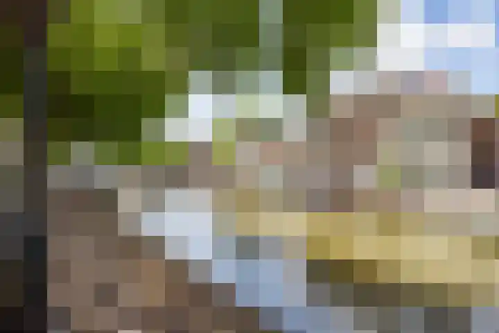 Bemuurde Weerd O.Z. 28 E Utrecht thumbnail 24