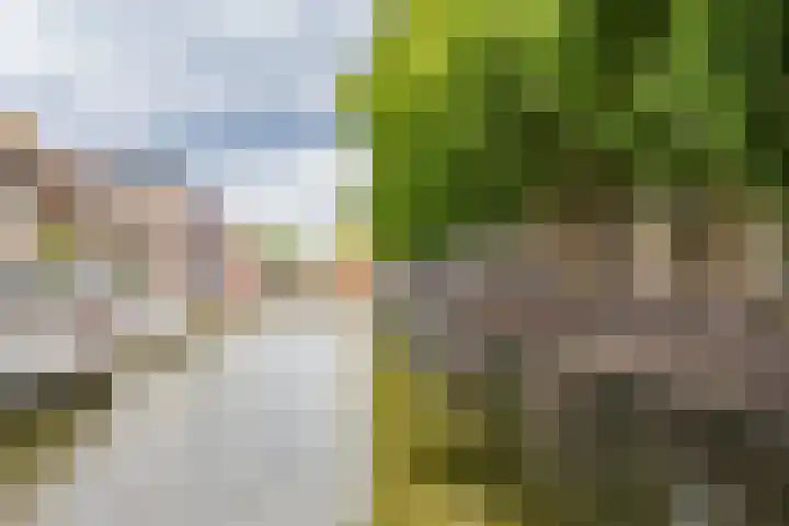 Bemuurde Weerd O.Z. 28 E Utrecht thumbnail 27
