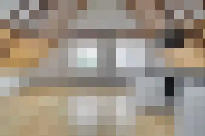 Bemuurde Weerd O.Z. 28 E Utrecht thumbnail 8