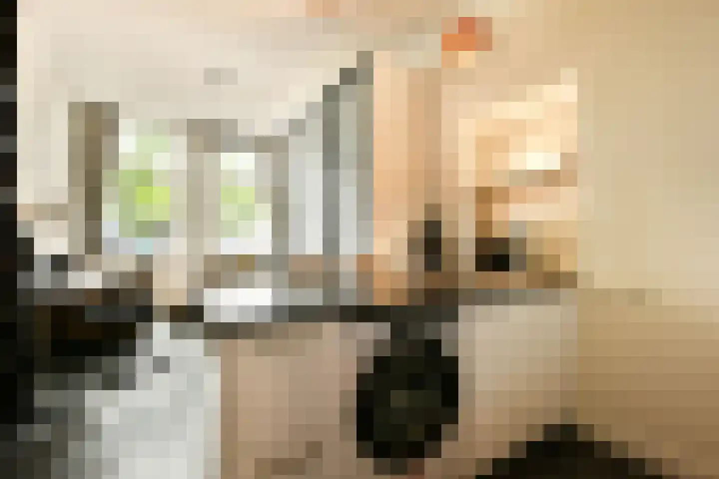 Bemuurde Weerd O.Z. 30 Utrecht thumbnail 12