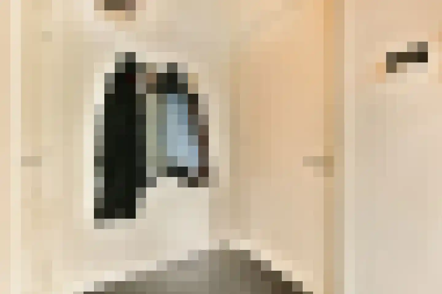 Bemuurde Weerd O.Z. 30 Utrecht thumbnail 15
