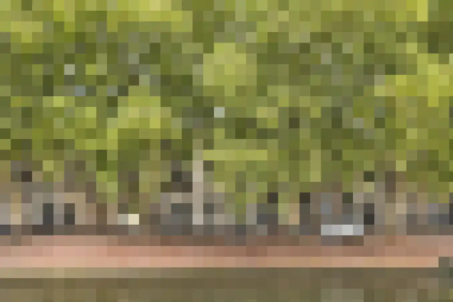 Bemuurde Weerd O.Z. 30 Utrecht thumbnail 16