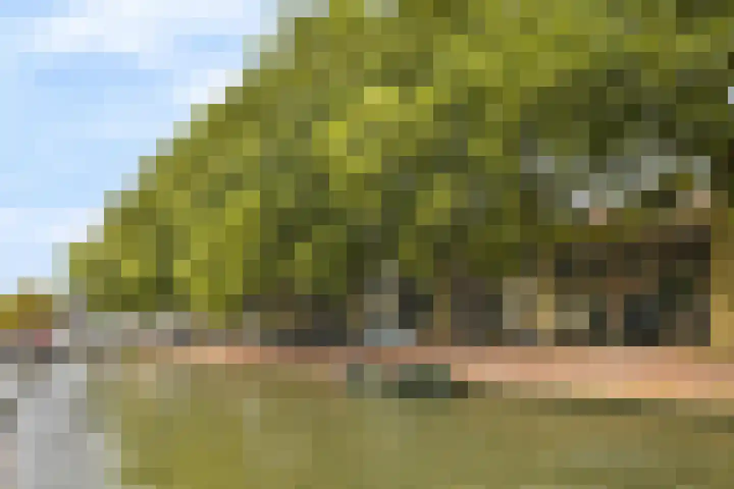 Bemuurde Weerd O.Z. 30 Utrecht thumbnail 19