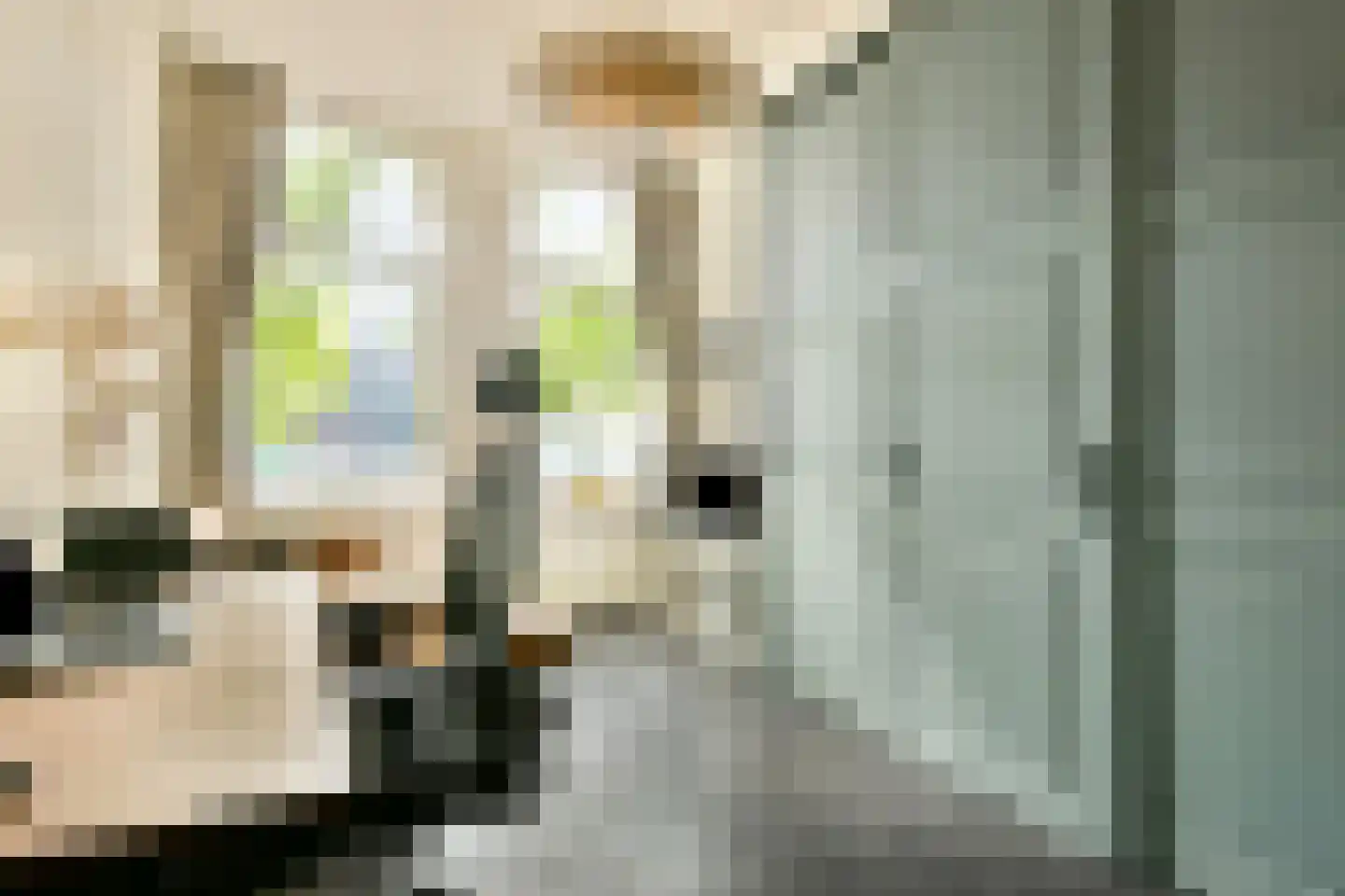 Bemuurde Weerd O.Z. 30 Utrecht thumbnail 4
