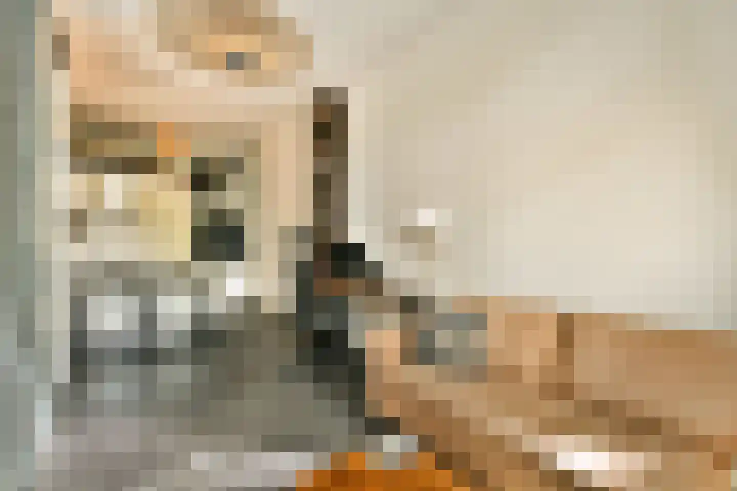 Bemuurde Weerd O.Z. 30 Utrecht thumbnail 5