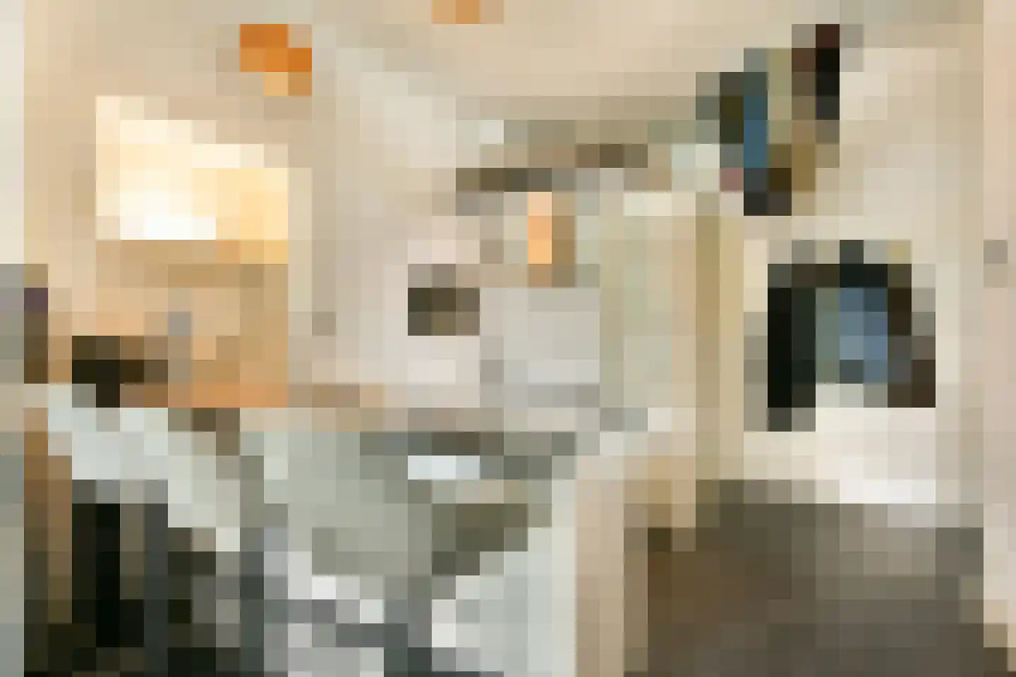 Bemuurde Weerd O.Z. 30 Utrecht thumbnail 7