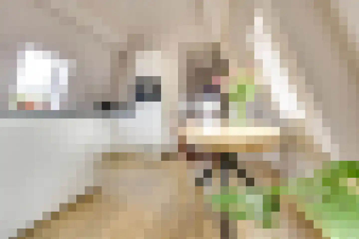 Bemuurde Weerd O.Z. 39 C Utrecht thumbnail 11