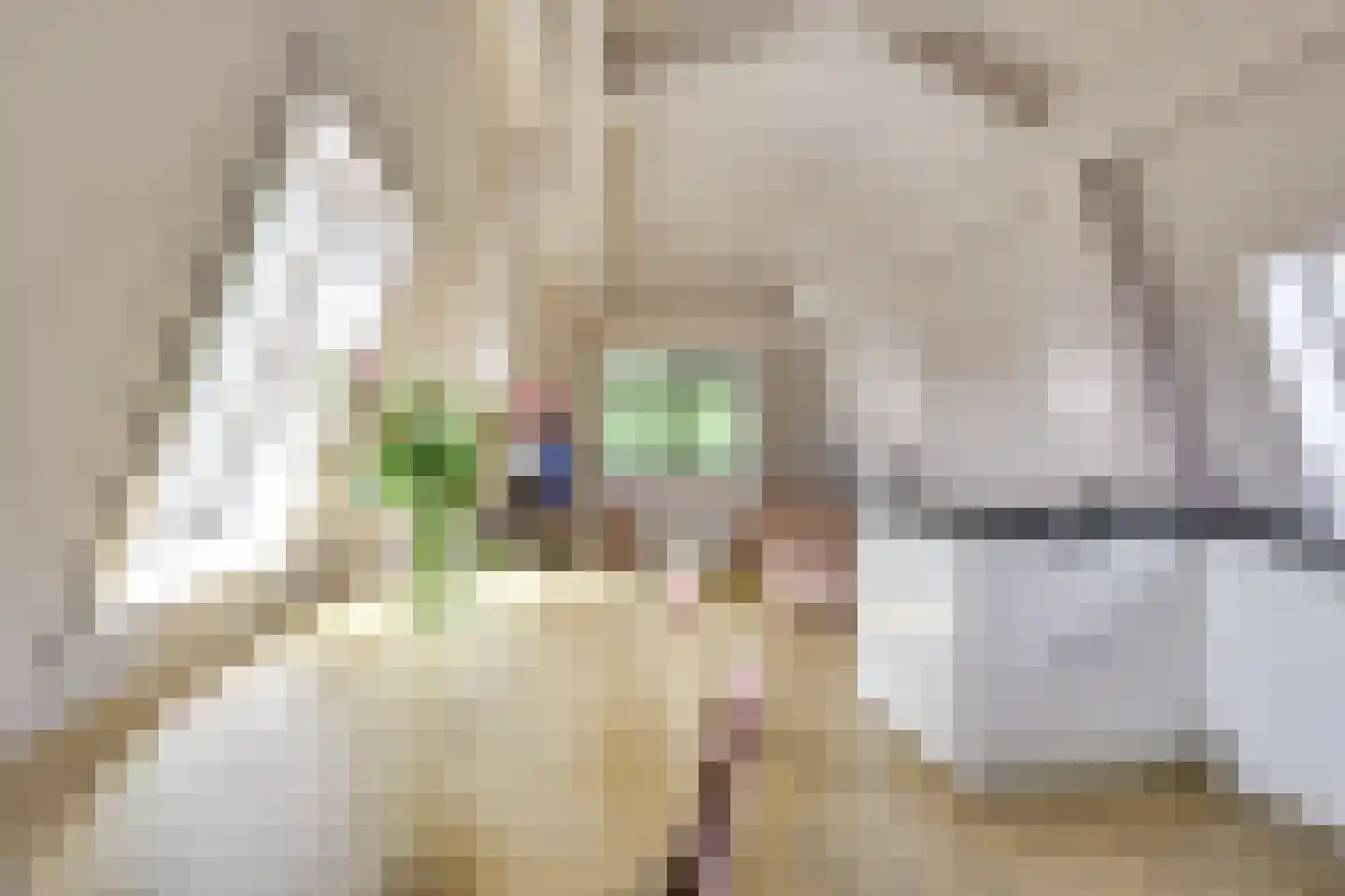 Bemuurde Weerd O.Z. 39 C Utrecht thumbnail 6