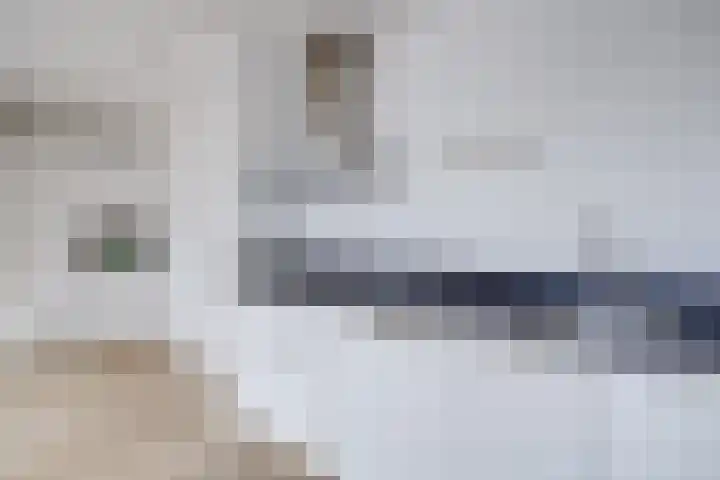 Bemuurde Weerd O.Z. 42 E Utrecht thumbnail 15