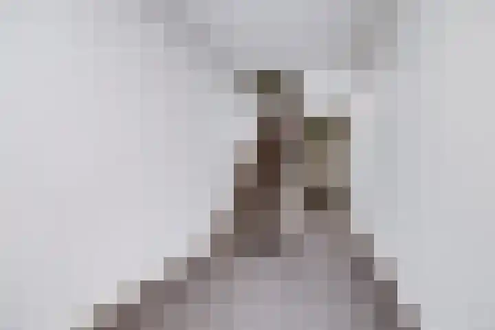Bemuurde Weerd O.Z. 42 E Utrecht thumbnail 30