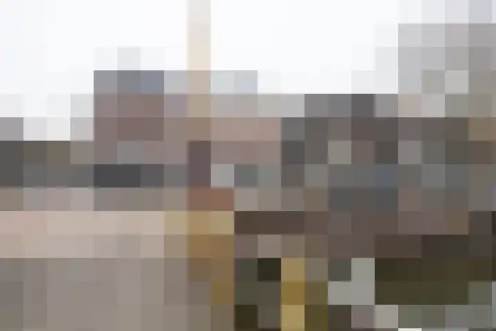 Bemuurde Weerd O.Z. 42 E Utrecht thumbnail 39