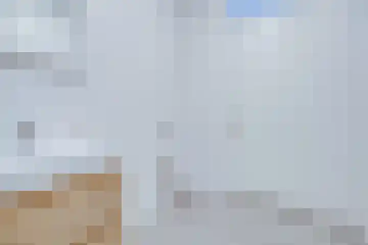 Bemuurde Weerd O.Z. 42 Utrecht thumbnail 25