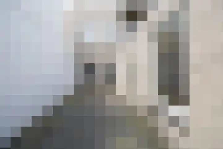 Bemuurde Weerd O.Z. 42 Utrecht thumbnail 40