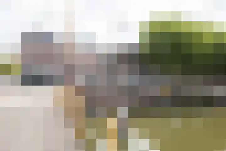 Bemuurde Weerd O.Z. 42 Utrecht thumbnail 44