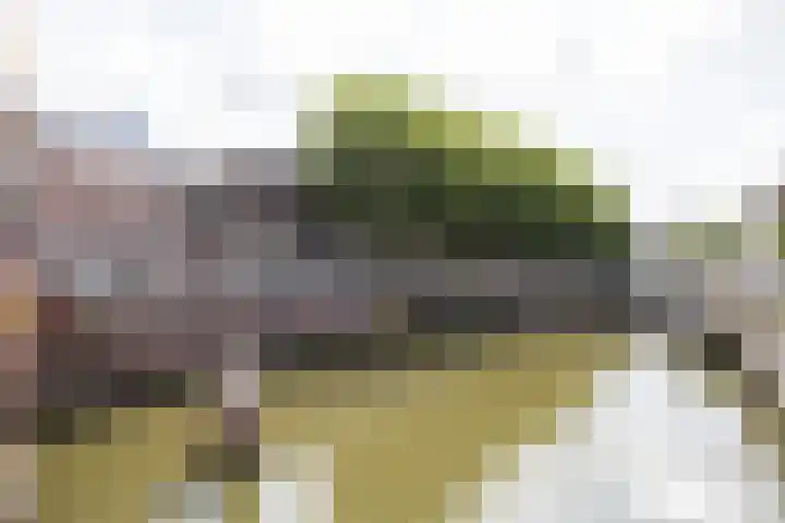 Bemuurde Weerd O.Z. 42 Utrecht thumbnail 47