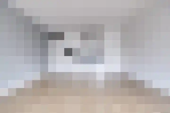 Bemuurde Weerd O.Z. 42 Utrecht thumbnail 5