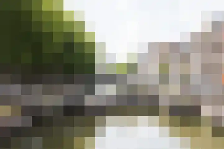 Bemuurde Weerd O.Z. 42 Utrecht thumbnail 52