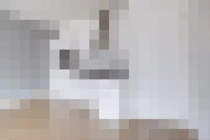 Bemuurde Weerd O.Z. 42 Utrecht thumbnail 9