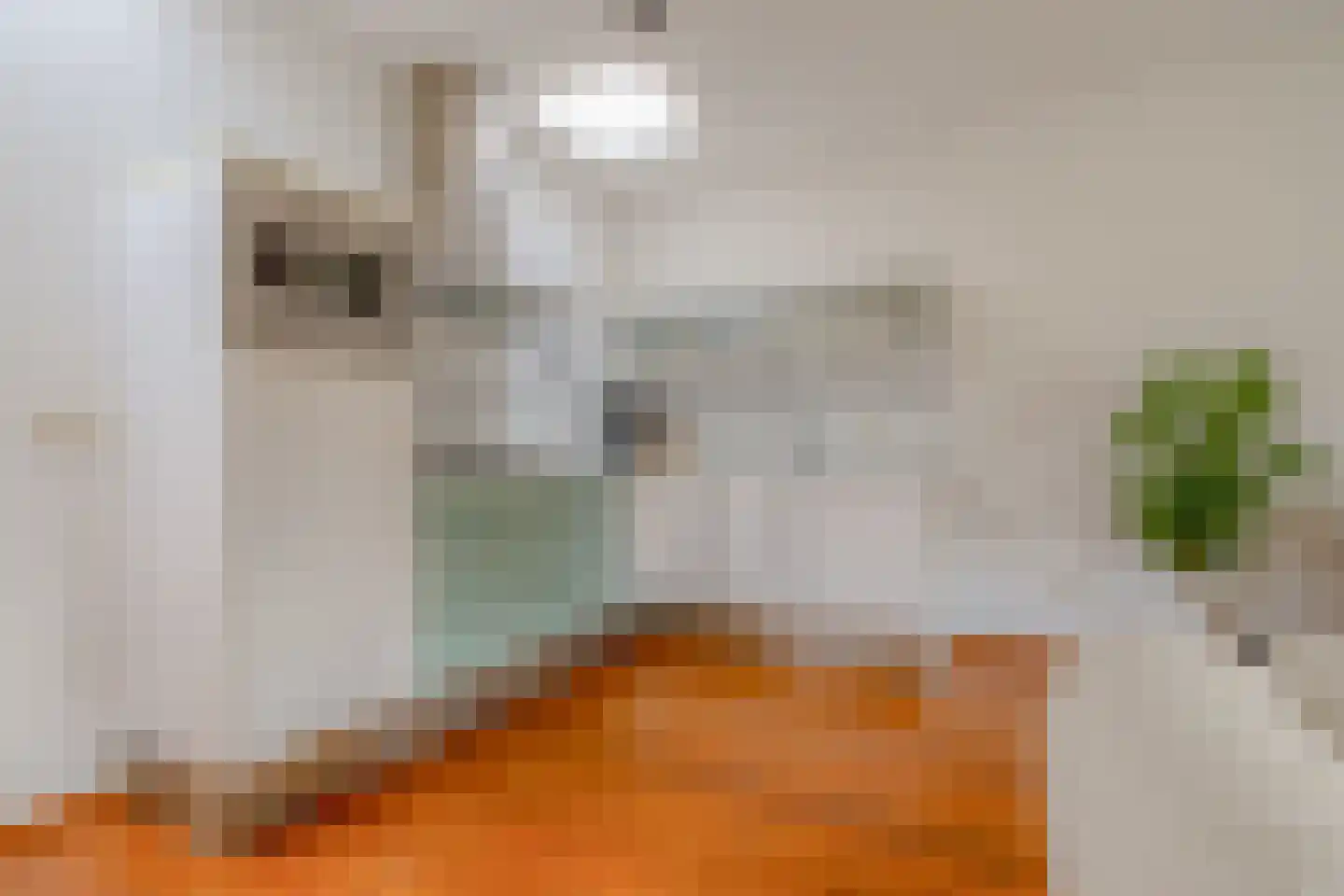 Bemuurde Weerd O.Z. 50 C Utrecht thumbnail 13