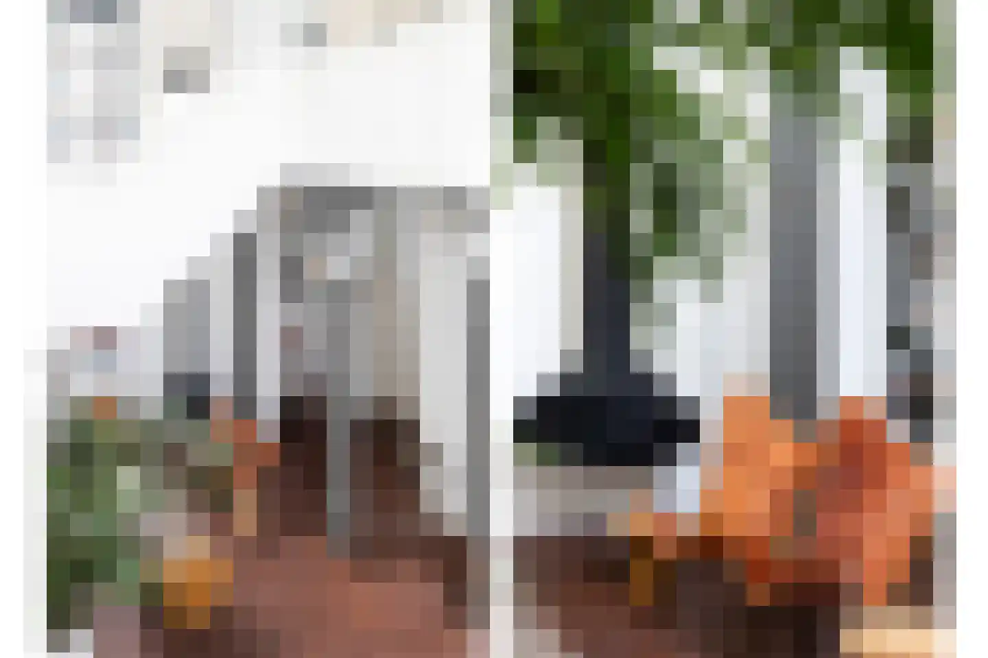 Bemuurde Weerd O.Z. 56 Utrecht thumbnail 10