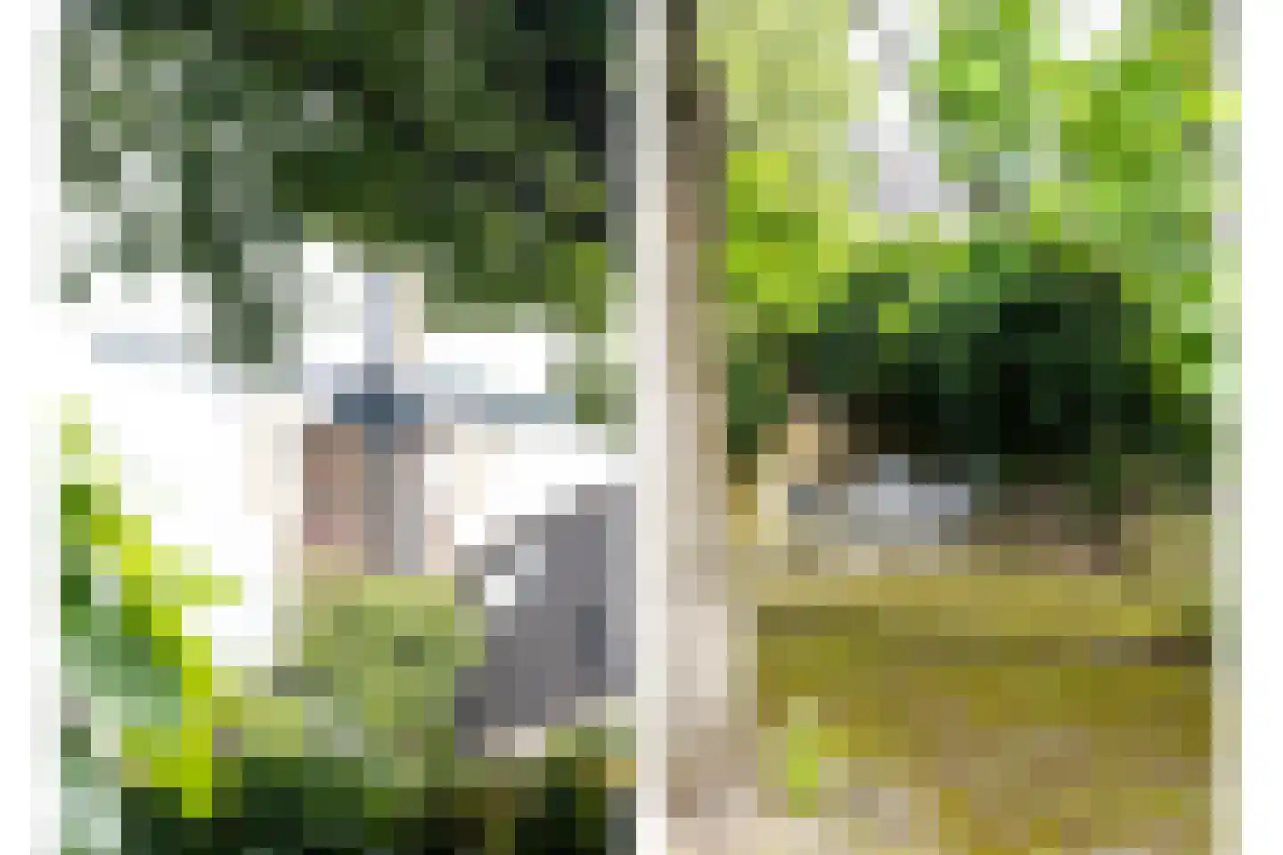 Bemuurde Weerd O.Z. 56 Utrecht thumbnail 33