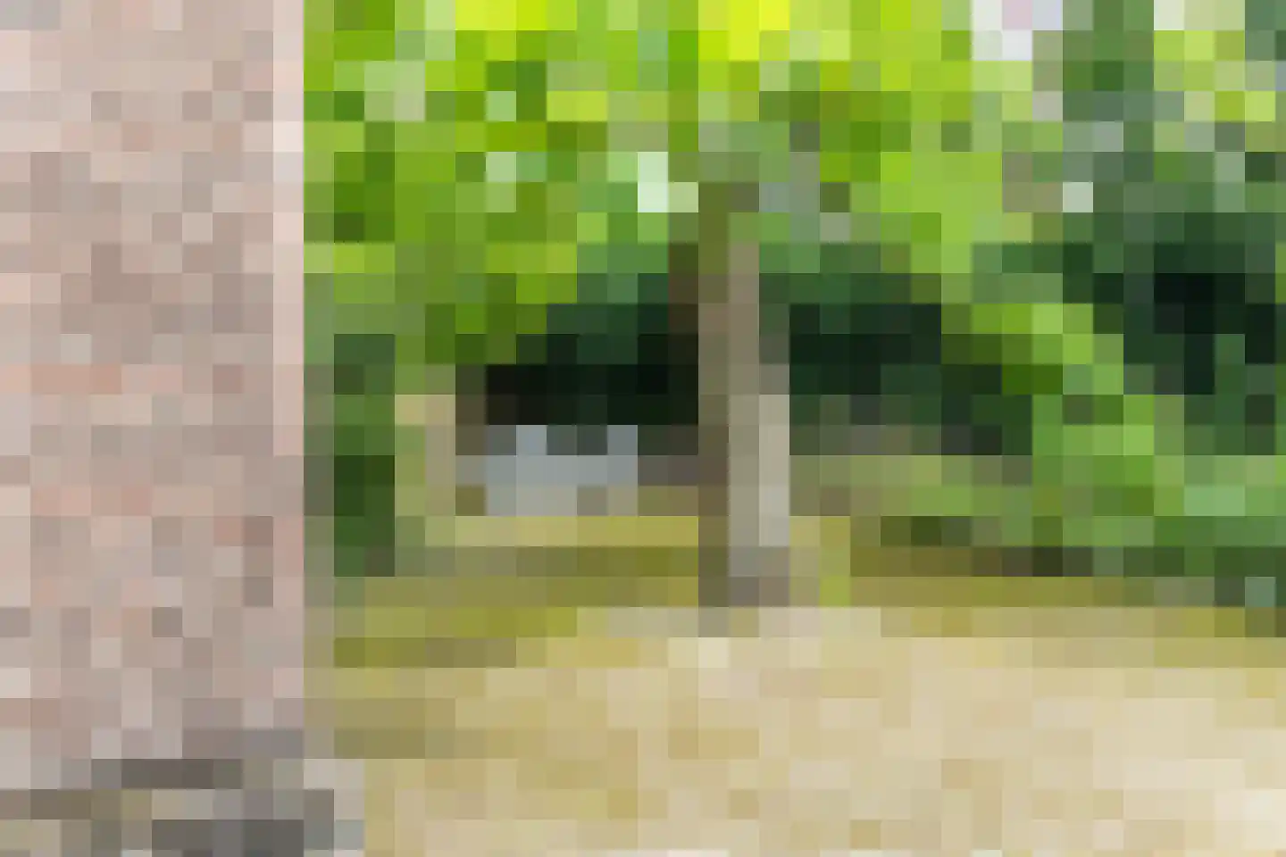 Bemuurde Weerd O.Z. 56 Utrecht thumbnail 34