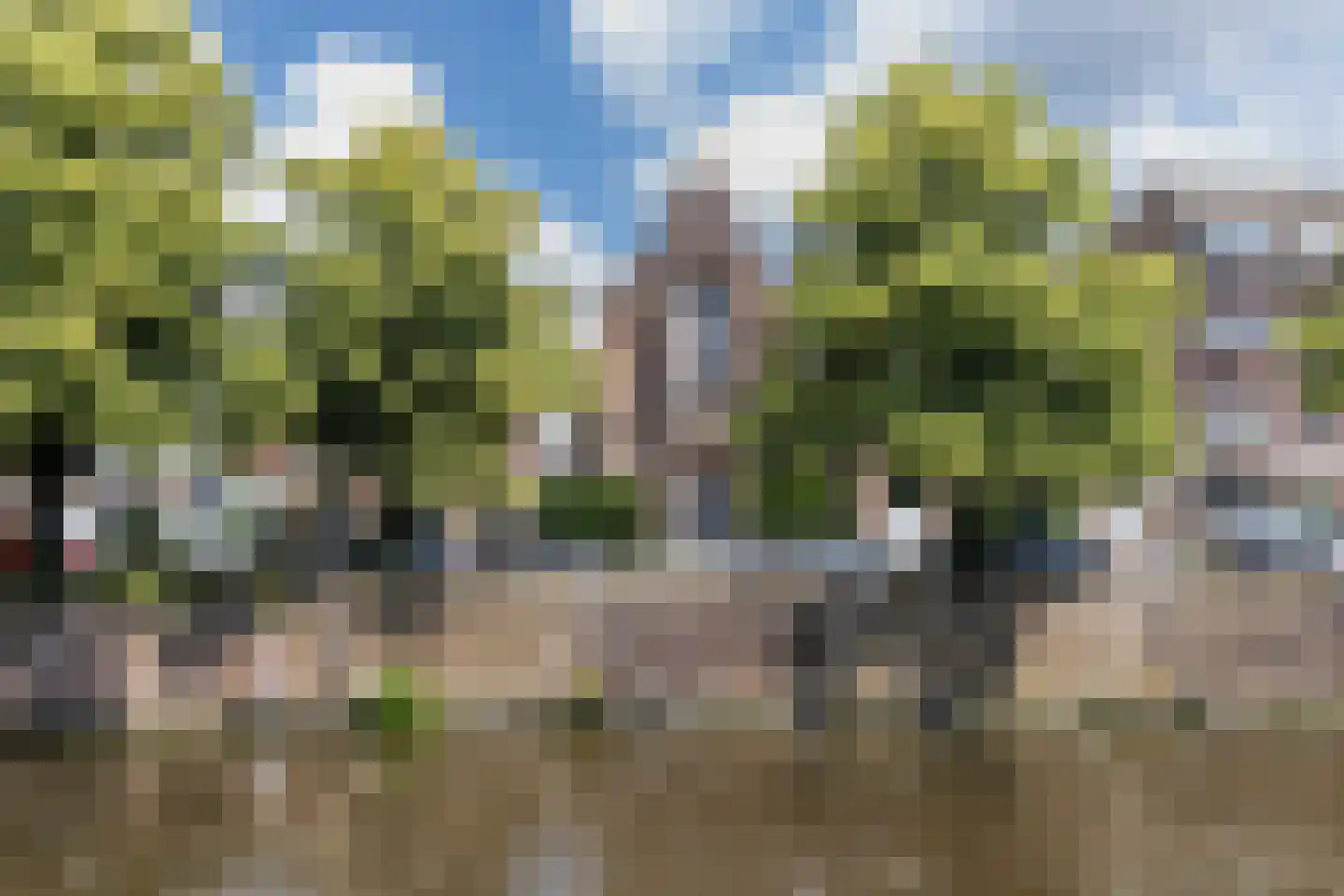 Bemuurde Weerd O.Z. 56 Utrecht thumbnail 57