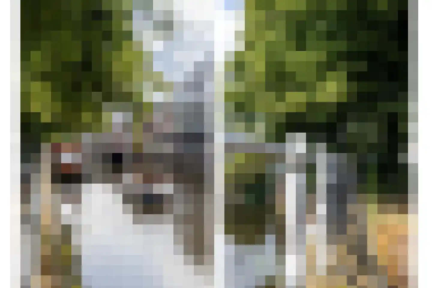 Bemuurde Weerd O.Z. 56 Utrecht thumbnail 59