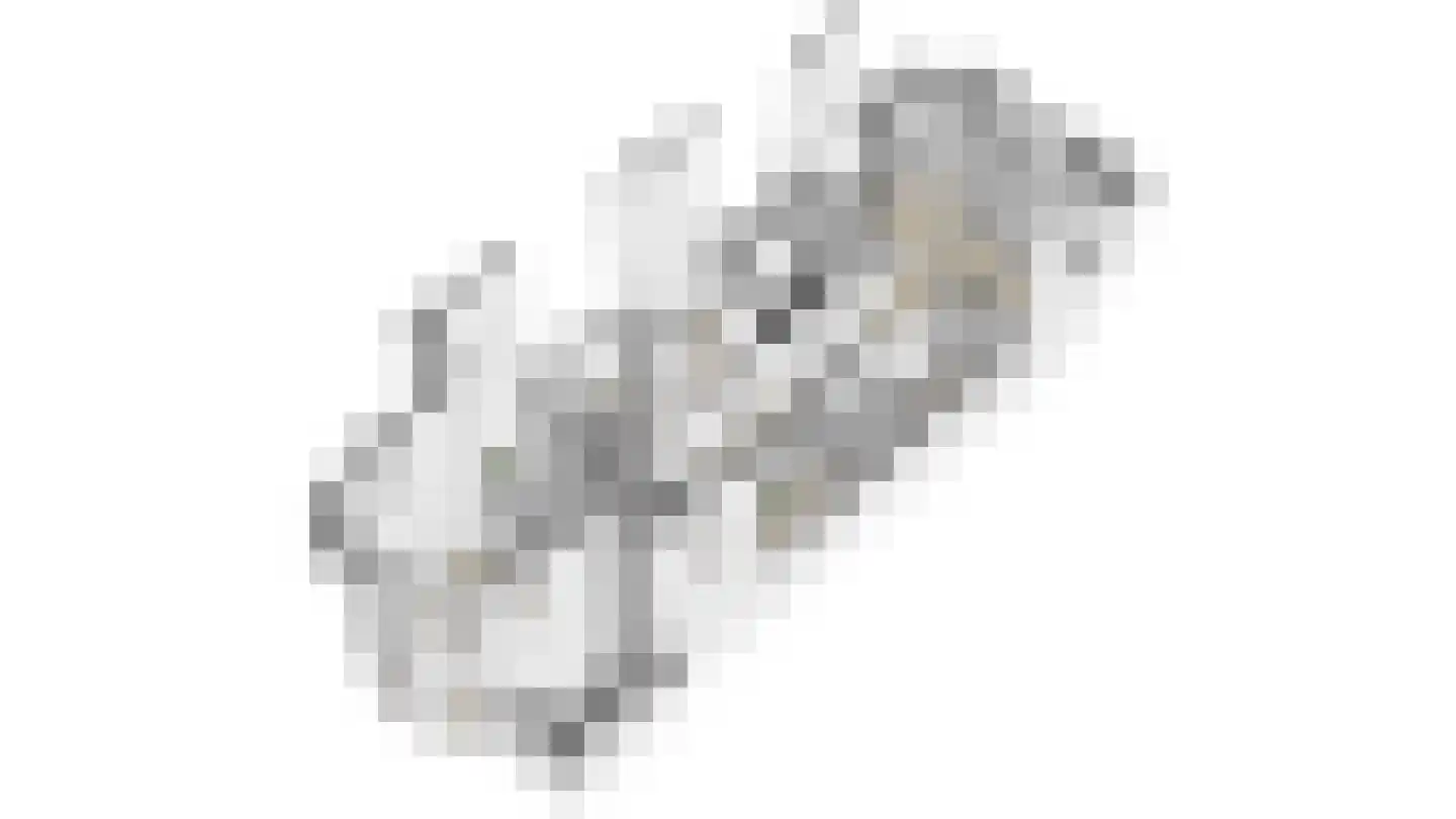 Bemuurde Weerd O.Z. 56 Utrecht thumbnail 63