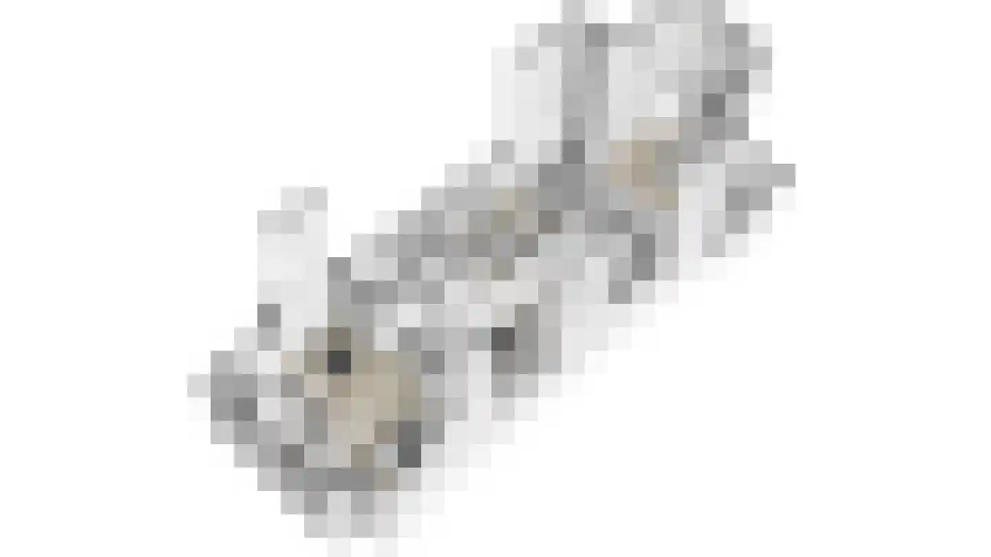 Bemuurde Weerd O.Z. 56 Utrecht thumbnail 64