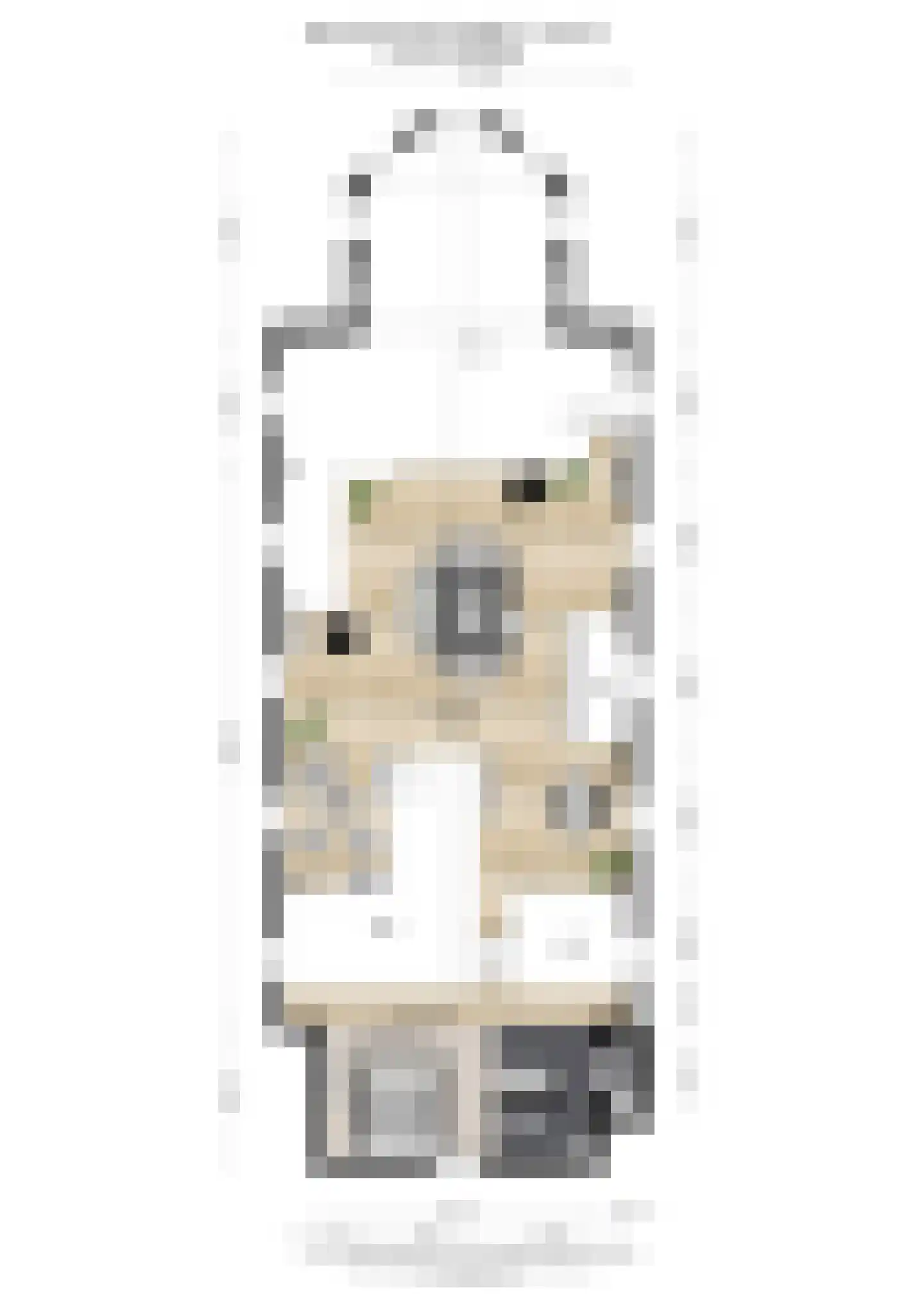 Bemuurde Weerd O.Z. 56 Utrecht thumbnail 65