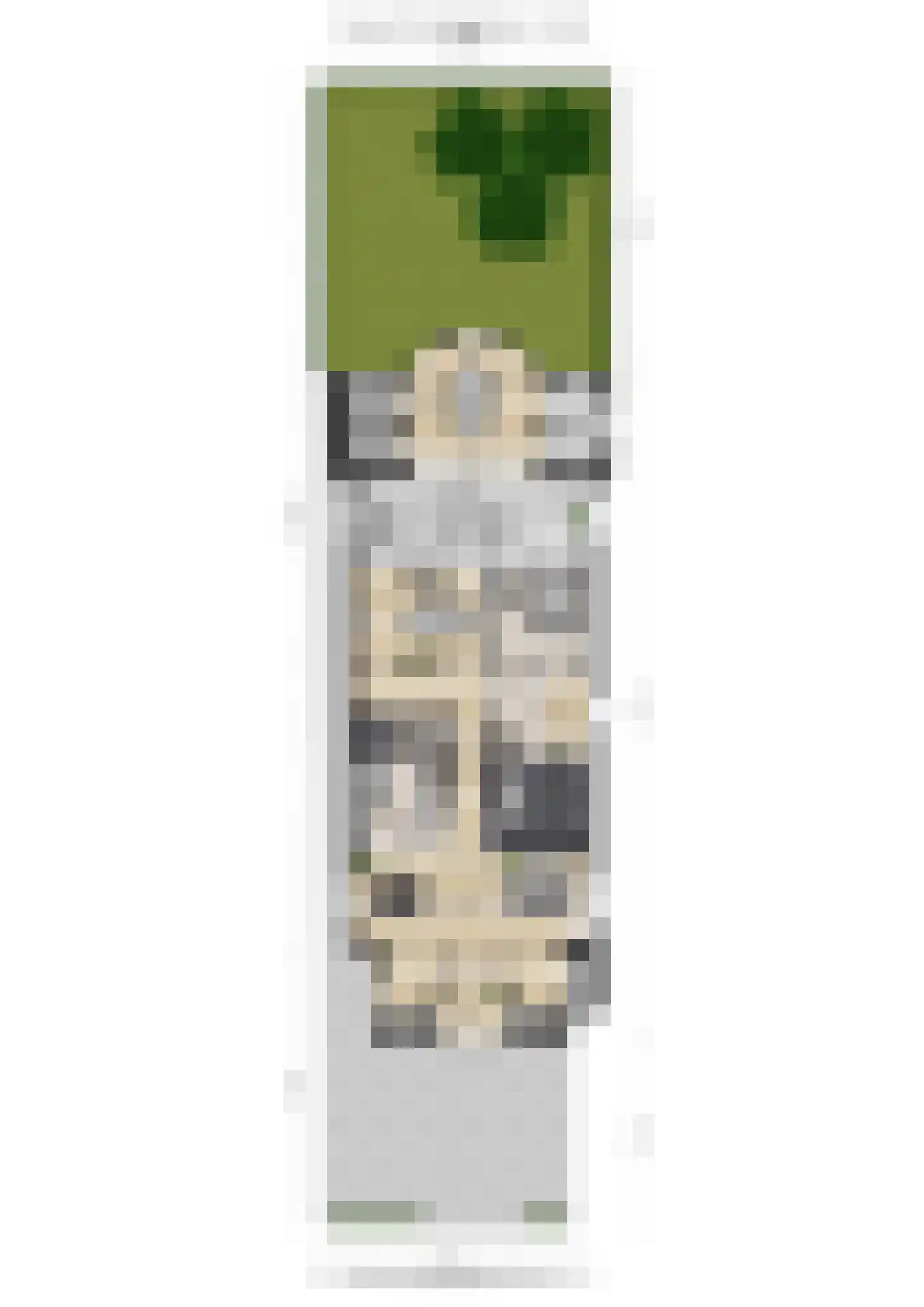 Bemuurde Weerd O.Z. 56 Utrecht thumbnail 68