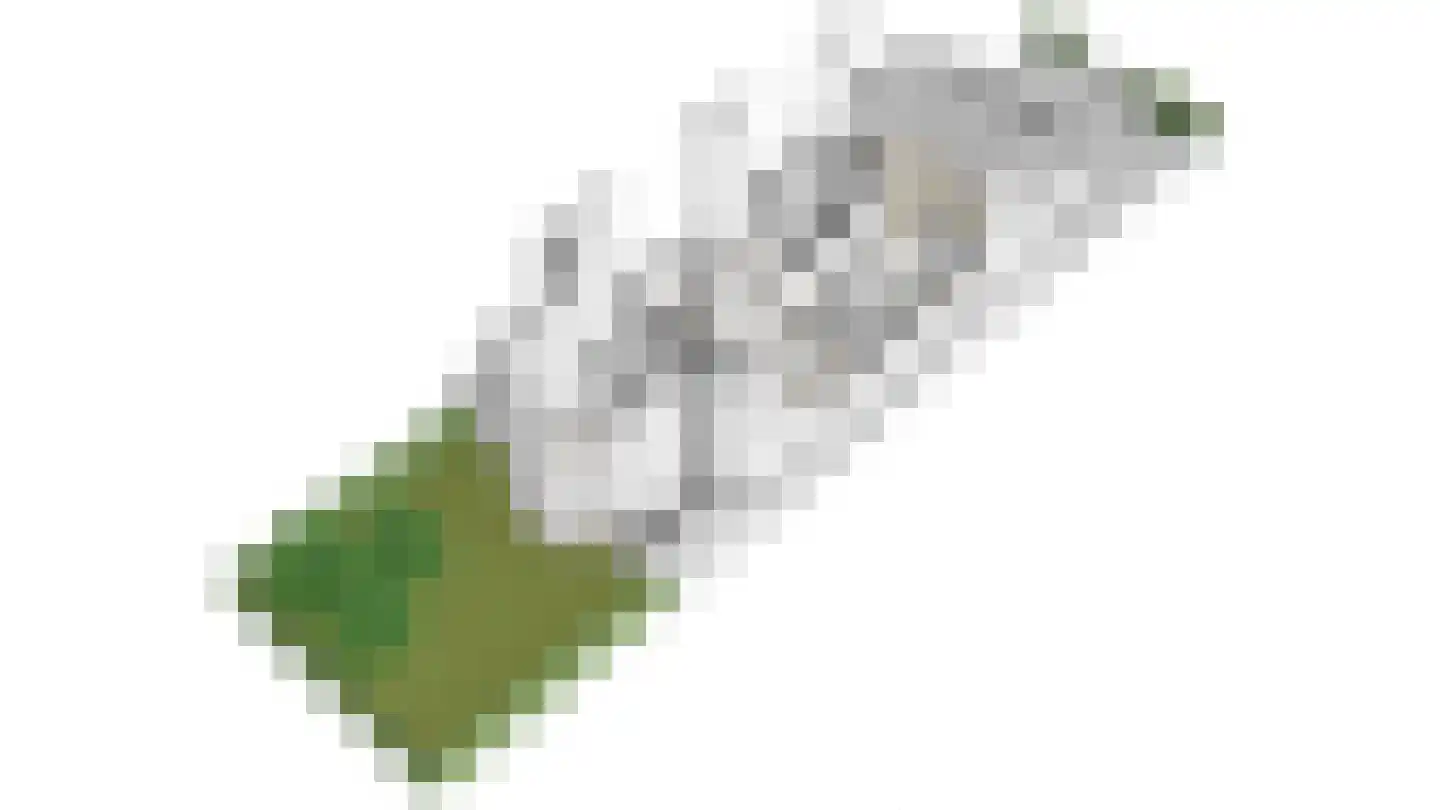 Bemuurde Weerd O.Z. 56 Utrecht thumbnail 69