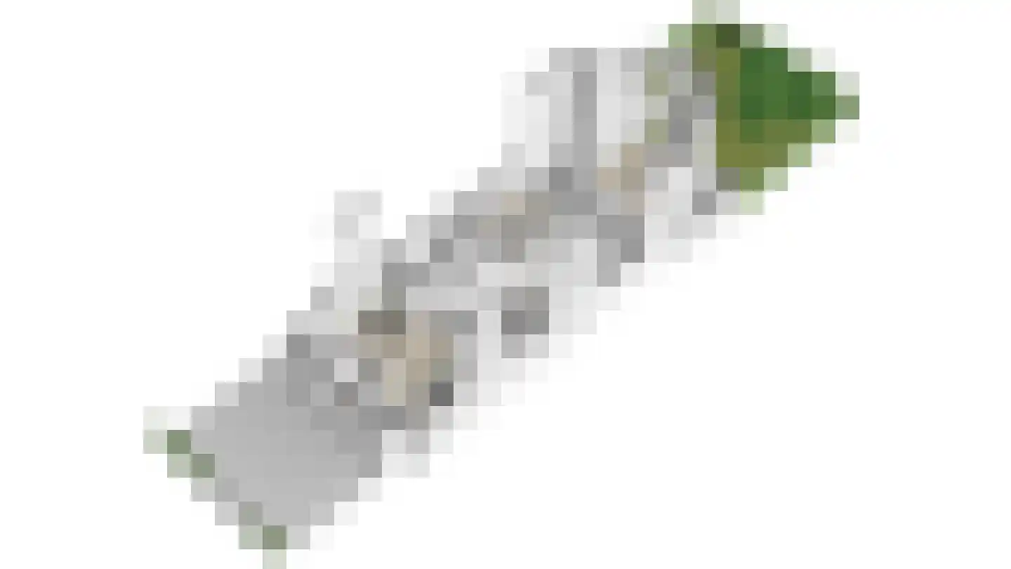 Bemuurde Weerd O.Z. 56 Utrecht thumbnail 70