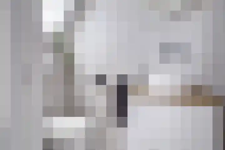 Bemuurde Weerd O.Z. 71 C Utrecht thumbnail 30