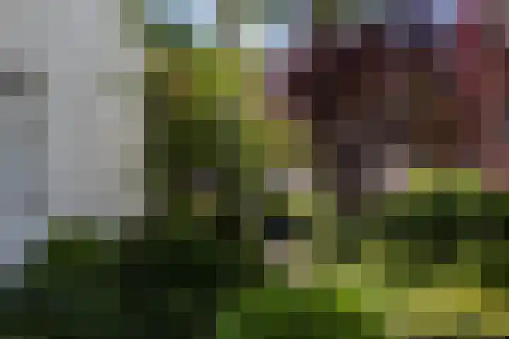 Bemuurde Weerd O.Z. 71 C Utrecht thumbnail 54