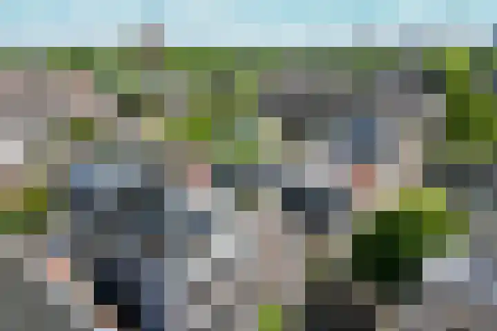 Bemuurde Weerd O.Z. 71 C Utrecht thumbnail 6