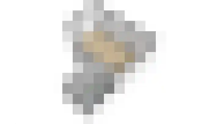 Bemuurde Weerd O.Z. 71 C Utrecht thumbnail 65